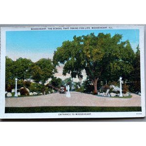 The School That Trains for Life Mooseheart Illinois Postcard History Building